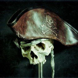 Pirate's Wife Pirate's Wife
